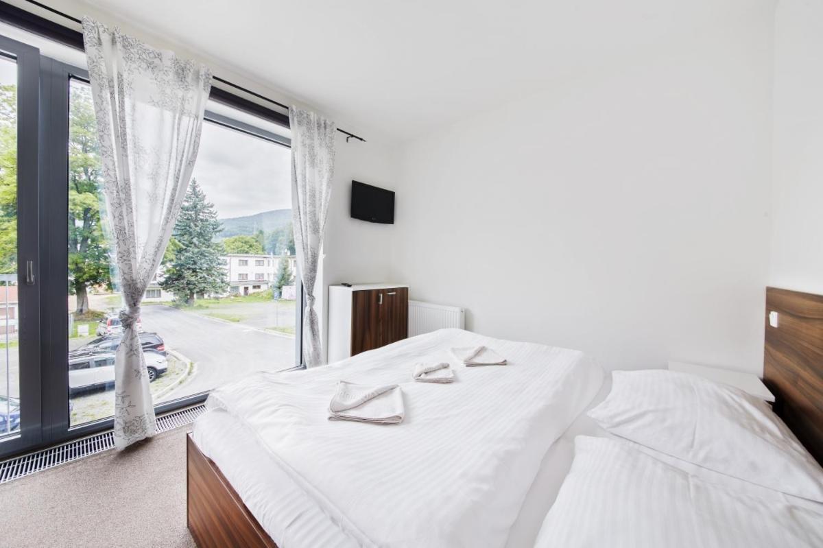 Luxusni Horsky Apartman Primo U Sjezdovky Kouty Loučná nad Desnou Eksteriør billede